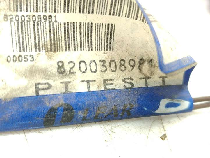 Renault Laguna (2001 - 2005)  8200308981 Проводка передних дверей