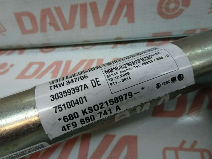 Audi A6 (2004 - 2008)  4F9880741A Звукоизоляция крыши