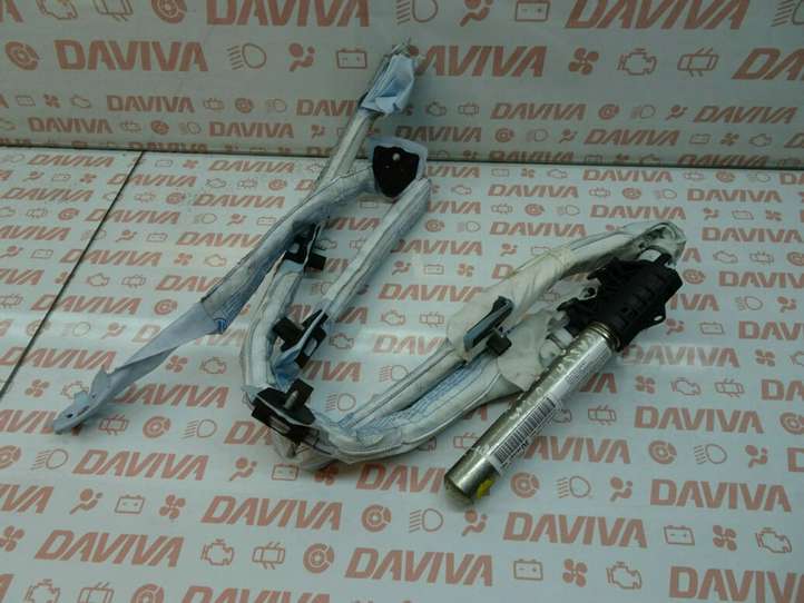 Volkswagen PASSAT B6 (2005 - 2010)  3C0880741A Звукоизоляция крыши