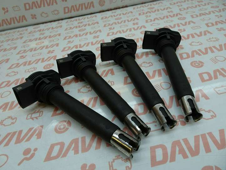 Volkswagen PASSAT B6 (2005 - 2010)  0221604115 Реле высокого напряжения (катушка зажигания, бобина)