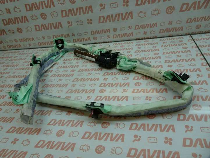 Volkswagen PASSAT B6 (2005 - 2010)  3C0880741E Звукоизоляция крыши