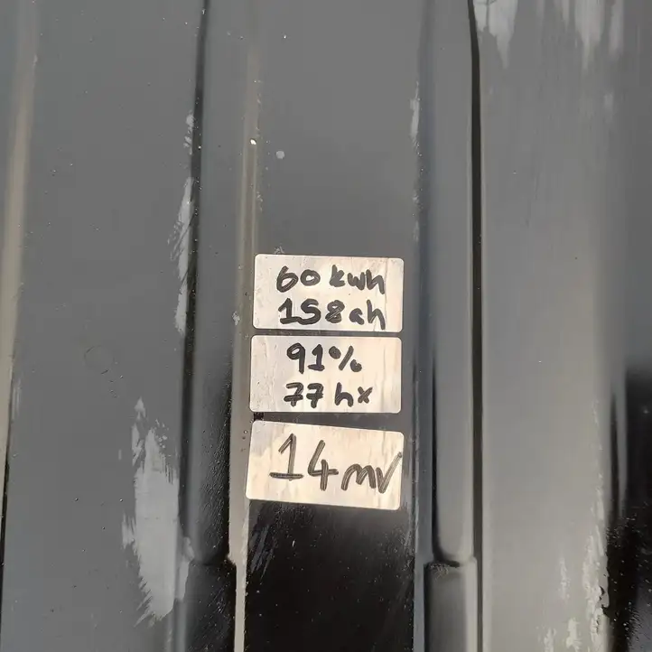 Nissan Leaf I (ZE0) (2010 - 2017) 295B05SF0D Аккумулятор гибридного / электрического автомобиля — фото 8