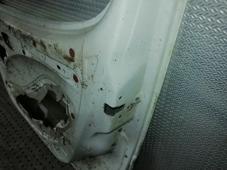 Fiat Doblo (2000 - 2009) Дверь — фото 8