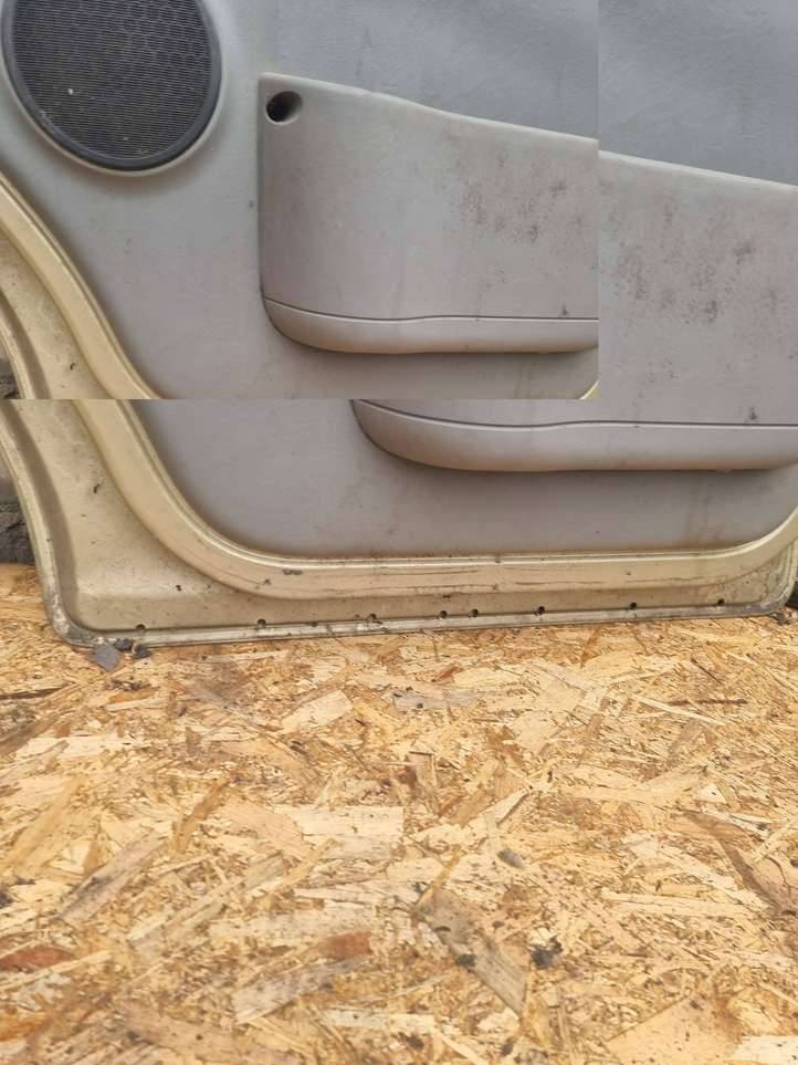 Renault Trafic II (X83) (2002 - 2014)   Дверь