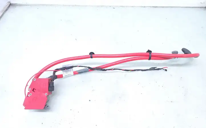 BMW 1 F20 F21 (2011 - 2019)  9253111 Плюсовый провод (аккумулятора)