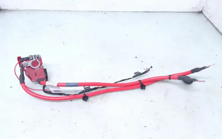 BMW 1 F20 F21 (2011 - 2019)  9253111 Плюсовый провод (аккумулятора)