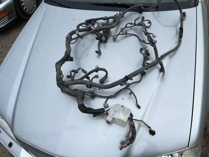 Lexus IS 220D-250-350 (2005 - 2010) 8212153180 Прочая электропроводка — фото 4