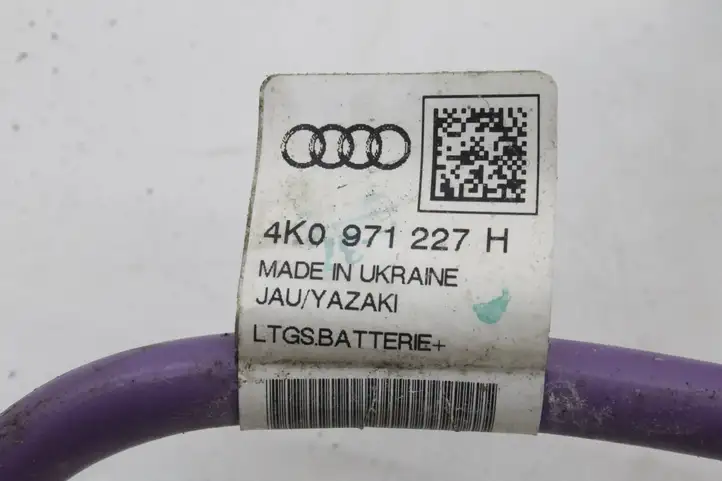 Audi A7 S7 4K8 (2018 - ) 4K0971227H Плюсовой провод аккумулятора — фото 5