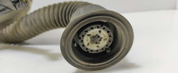 Ford Focus (1998 - 2004)  98AG14A584 Проводка передних дверей