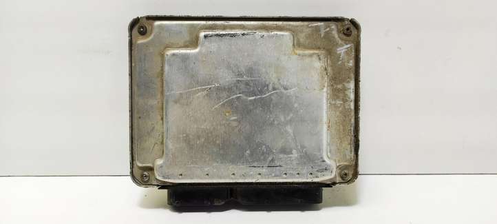 Seat Ibiza III (6L) (2002 - 2008)  045906019BG Блок управления двигателя