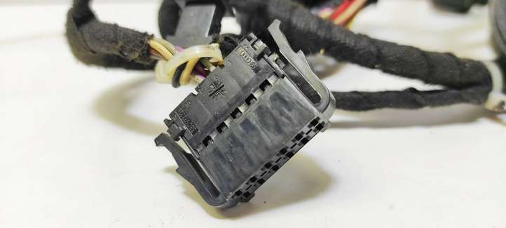 Volkswagen Golf IV (1998 - 2005)  1J0971913 Проводка передних дверей