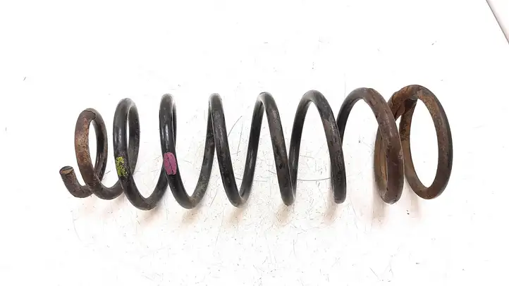Chevrolet Epica (2006 - 2009) Пружина задней подвески — фото 1