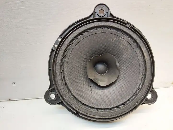 Nissan Juke I F15 (2010 - 2018) 28156EE500 Динамики задних дверей — фото 1