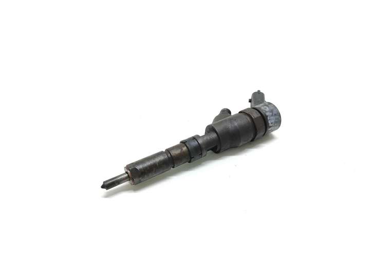 Peugeot 406 (1999 - 2006)  0445110076 Жиклер (жиклеры) (форсунка (форсунки)