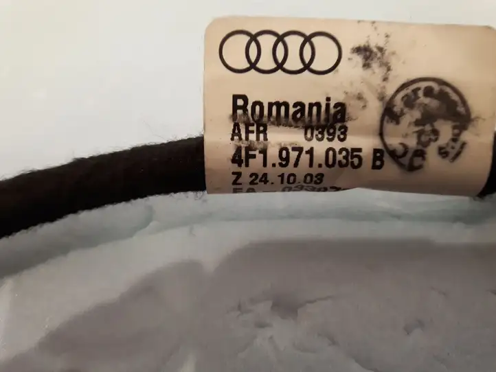Audi A6 Allroad C6 (2006 - 2008) 4F1971035B Проводка передней двери — фото 2