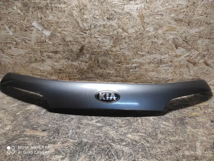 Kia Sorento (2014 - 2017) 873112P510 Подсветка номера — фото 1