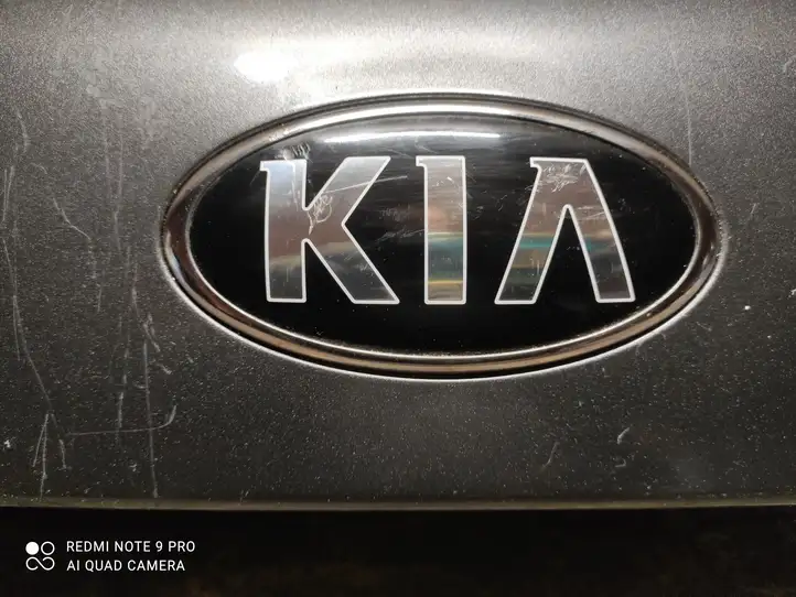 Kia Sorento (2014 - 2017) 873112P510 Подсветка номера — фото 2