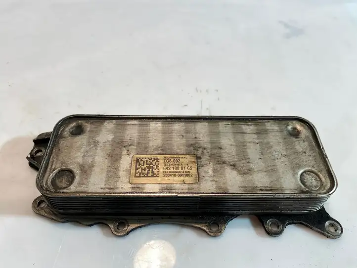 Mercedes-Benz GL X164 (2006 - 2012) 6421800165 Кронштейн масляного фильтра — фото 1