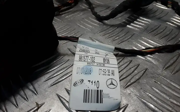 Mercedes-Benz R W251 (2005 - 2013) 981577102 Проводка задней двери — фото 4