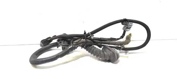 Nissan Qashqai (2006 - 2010) 24126JD00B Проводка задней двери — фото 1