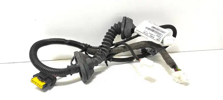 Nissan Qashqai (2006 - 2010) 24126JD00B Проводка задней двери — фото 2