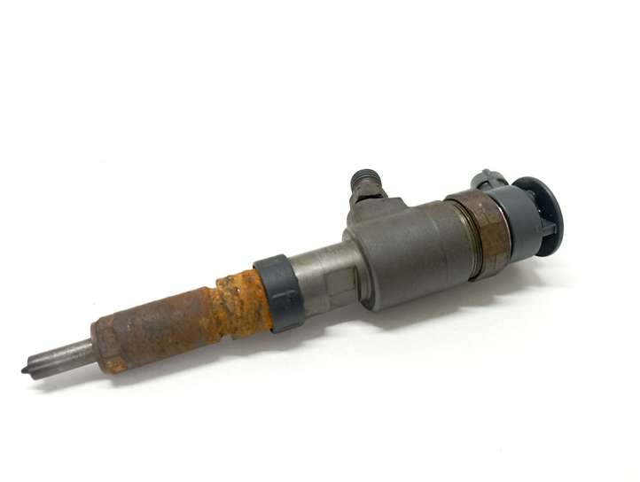 Peugeot 206 (1998 - 2012)  0445110252 Жиклер (жиклеры) (форсунка (форсунки)
