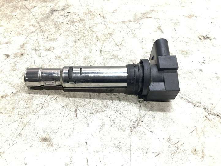 Volkswagen PASSAT B6 (2005 - 2010)  036905715F Реле высокого напряжения (катушка зажигания, бобина)