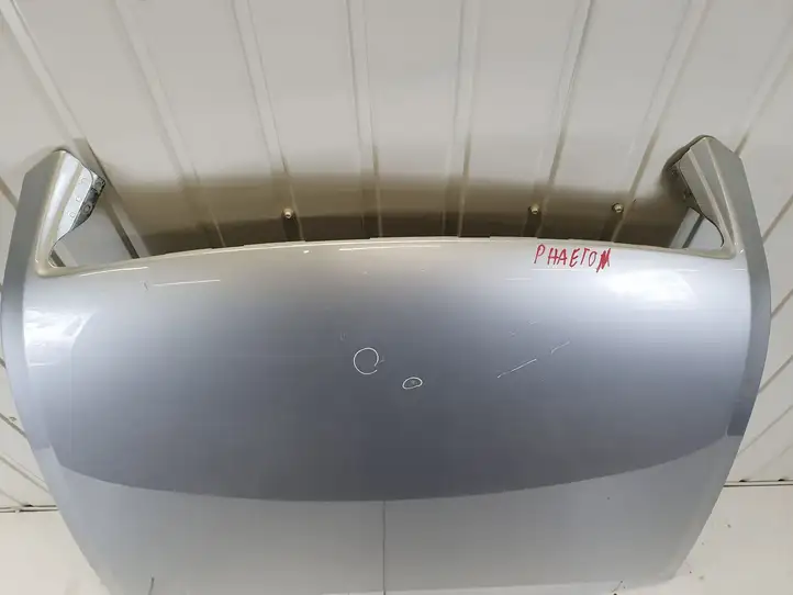 Volkswagen Phaeton (2002 - 2008) Капот — фото 2