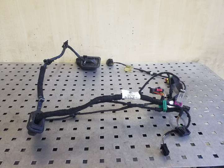 Volkswagen Eos (2010 - 2015)  1Q0971121P Проводка передних дверей