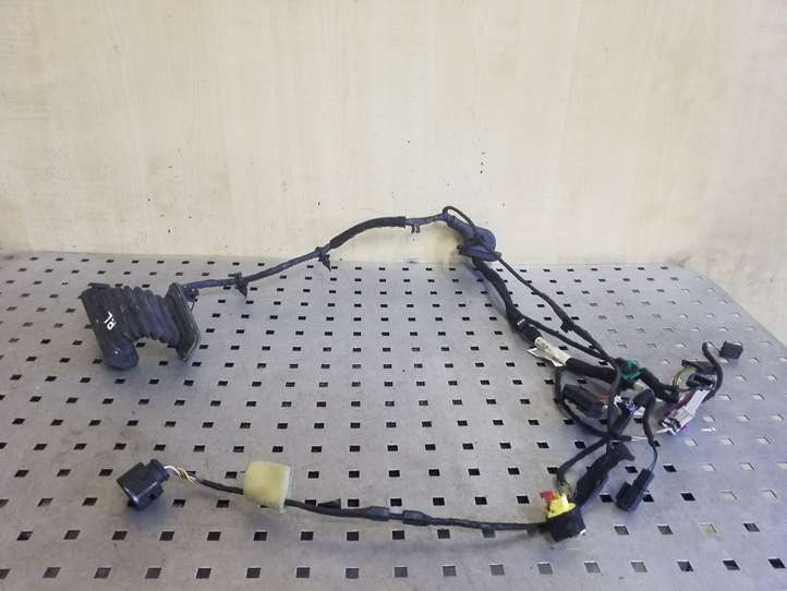 Volkswagen Eos (2010 - 2015)  1Q0971121P Проводка передних дверей