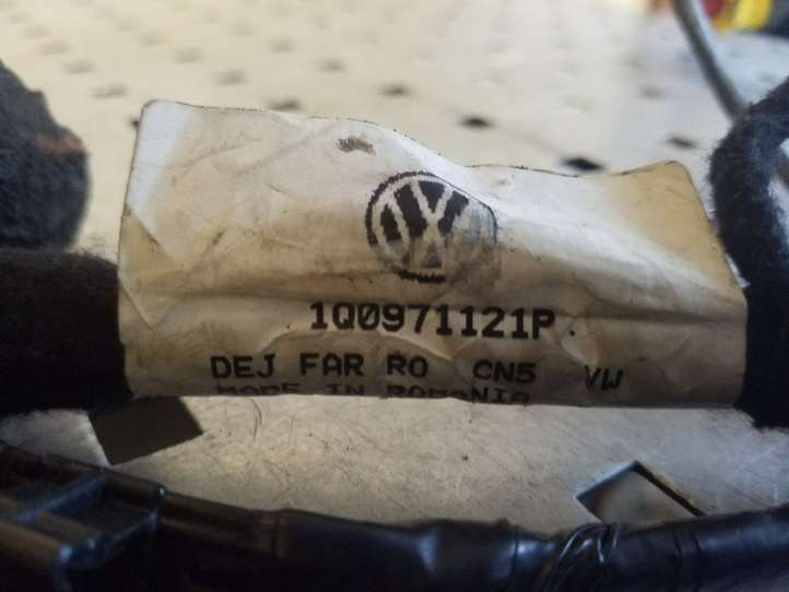 Volkswagen Eos (2010 - 2015)  1Q0971121P Проводка передних дверей