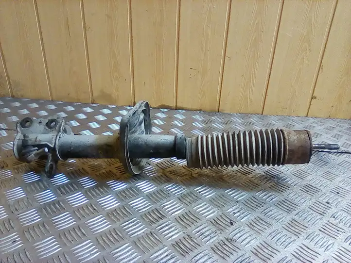 Mazda Premacy (1999 - 2005) Задний aмортизатор — фото 1