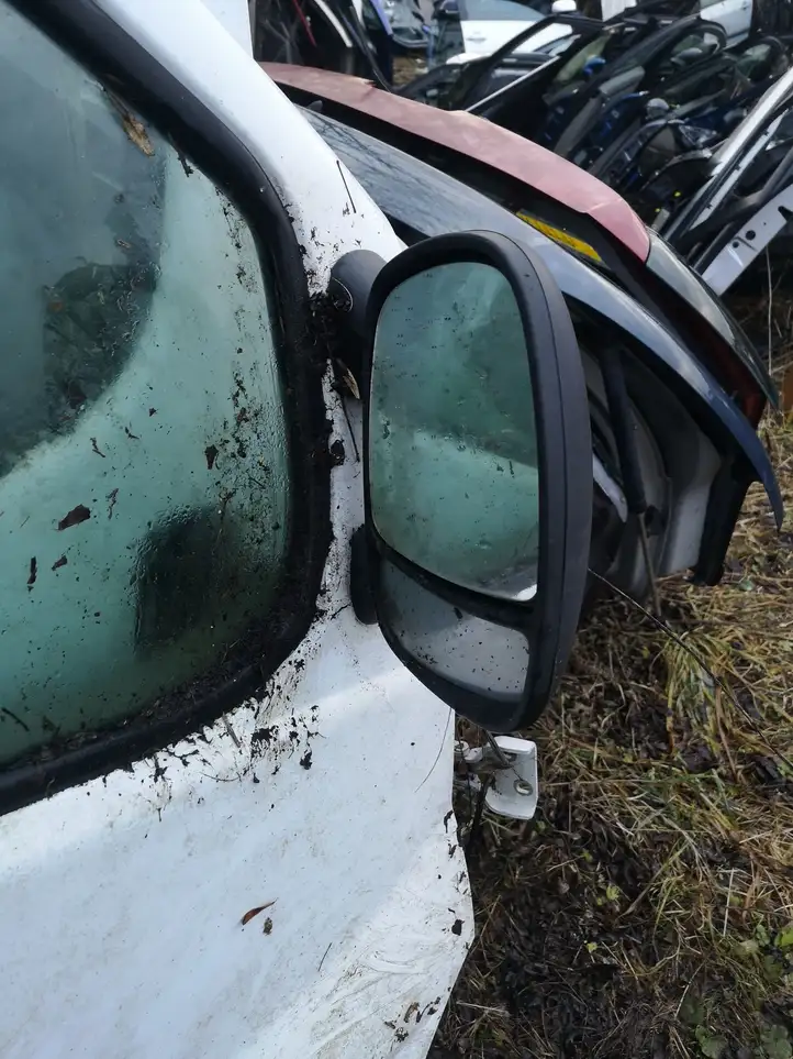 Nissan Primastar (2001 - 2014) Боковое зеркало с электроприводом — фото 2