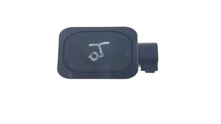 Ford Escape III (2013 - 2019) DJ5T14K147AA Кнопка закрытия крышки багажника — фото 1