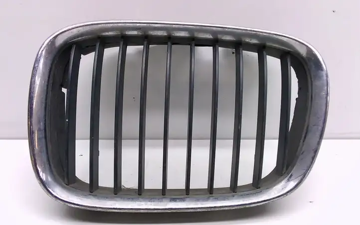 BMW 5 E39 (1996 - 2003) Верхняя решетка радиатора — фото 1