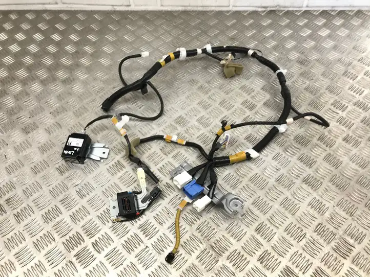 Lexus RX 330 - 350 - 400H (2012 - 2015) 8979348010 Проводка люка — фото 1