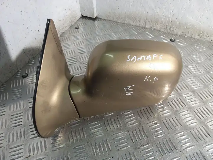 Hyundai Santa Fe (2000 - 2005) Боковое зеркало с электроприводом — фото 1