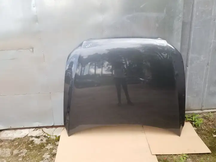 Audi Q5 SQ5 (2008 - 2012) Капот — фото 1