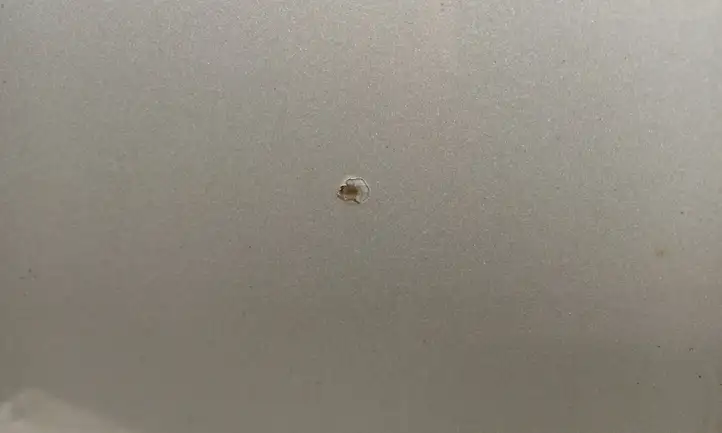 BMW X1 E84 (2009 - 2015)   Капот