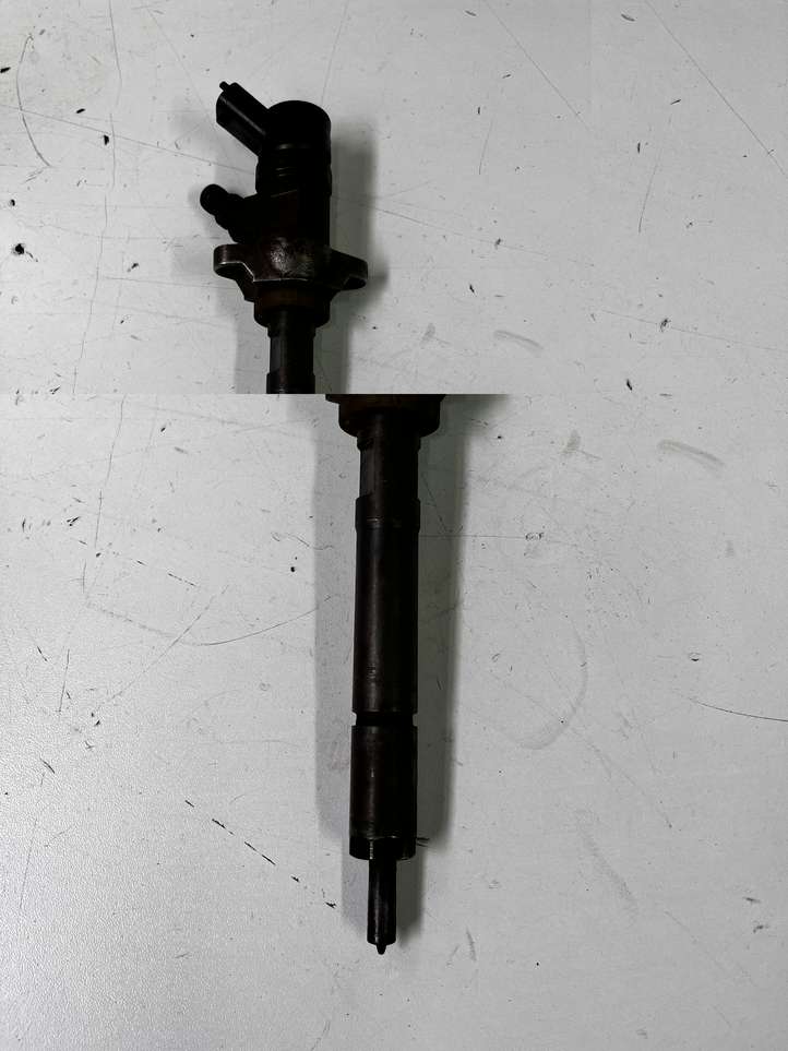 Peugeot Partner (2002 - 2008)  0445110239 Жиклер (жиклеры) (форсунка (форсунки)