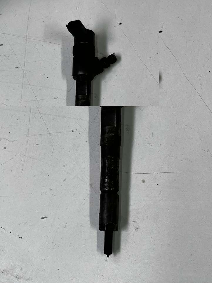 Fiat Doblo (2000 - 2009)  0445110183 Жиклер (жиклеры) (форсунка (форсунки)