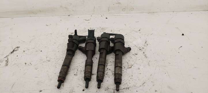 Renault Scenic I (1996 - 2003)  8200100272 Комплект жиклеров (форсунок)