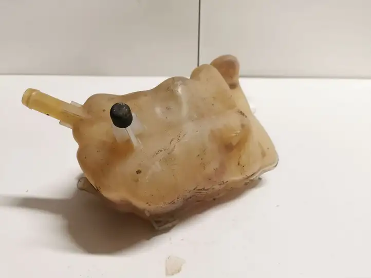 Ford Fusion II (2013 - ) Крышка расширительного бачка — фото 2