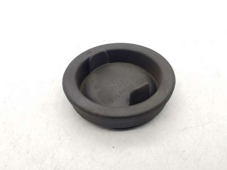 Ford Focus (2011 - 2015)  F1EB13K046CA Крышка передней фары