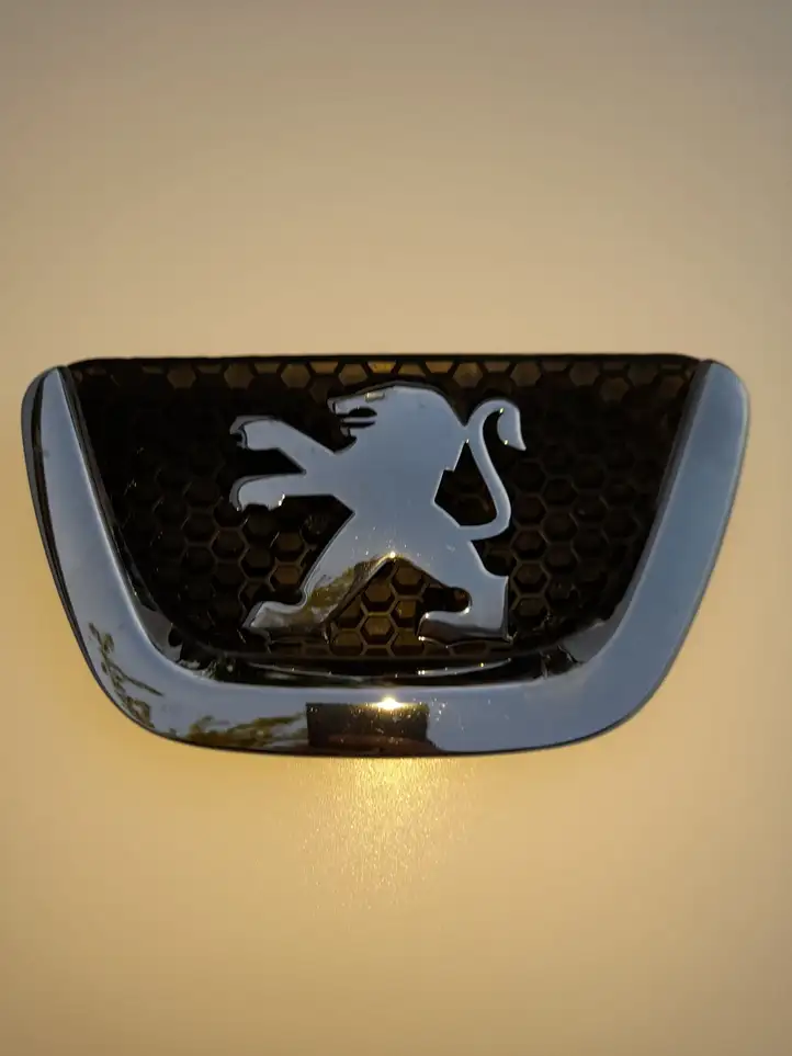 Peugeot Bipper (2011 - 2018) Решетка радиатора — фото 1