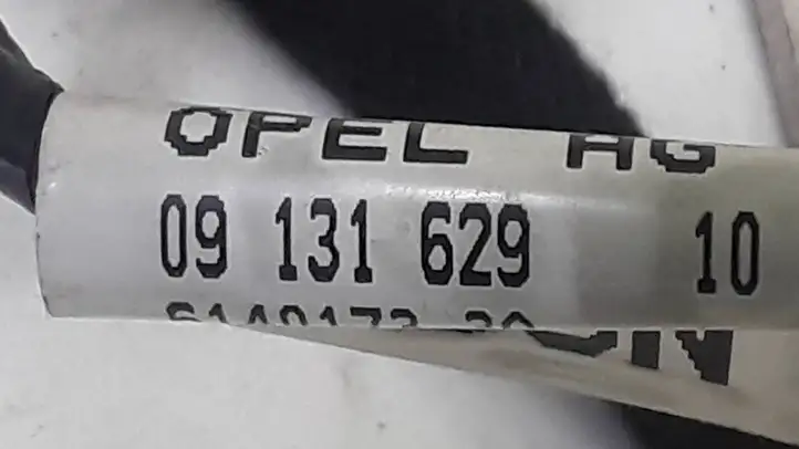 Opel Zafira B (2003 - 2006) 09131629 Жгут проводов крышки багажника — фото 2