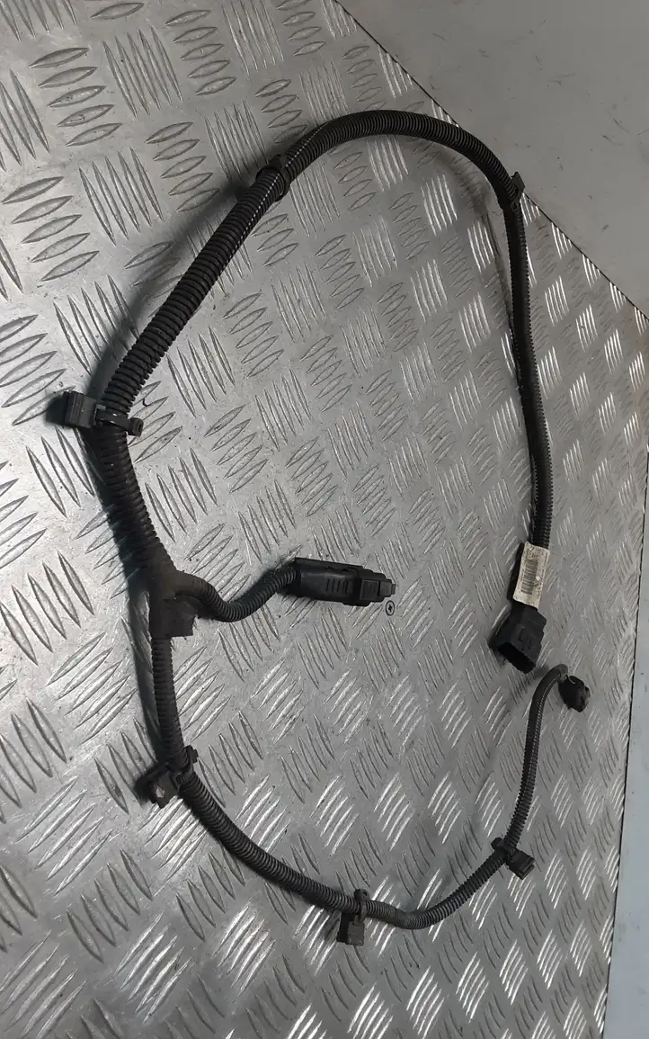 Citroen C4 I Picasso (2006 - 2013) 9657789780 Прочая электропроводка — фото 1