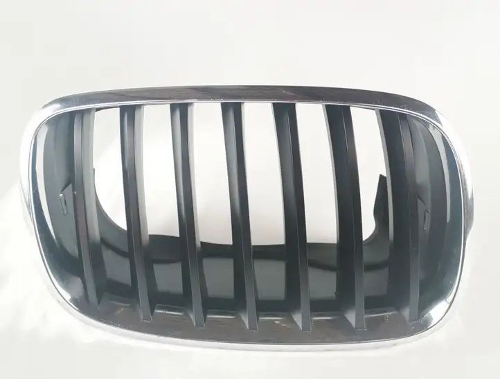 BMW X5 E70 (2006 - 2013) 51137171396 Верхняя решетка радиатора — фото 1