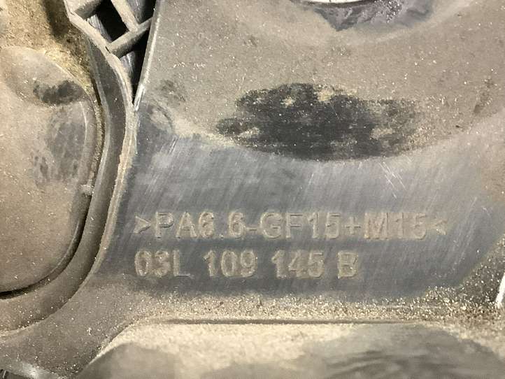 Volkswagen PASSAT B6 (2005 - 2010)  03L109145B Защита основного ремня