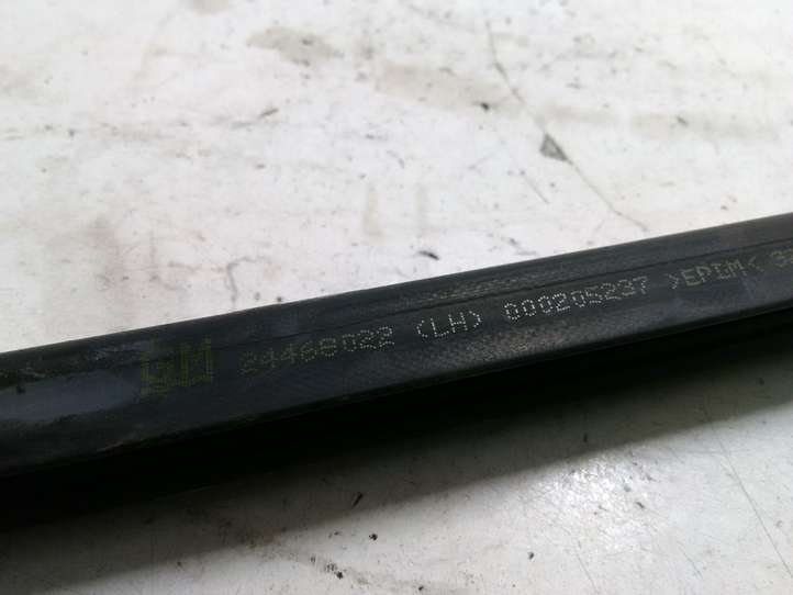 Opel Astra (2004 - 2009)  24468022 Уплотнительная резина стекла передней двери